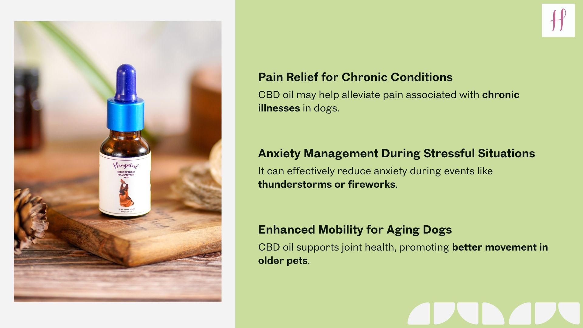 cbd oil for dogs buy online